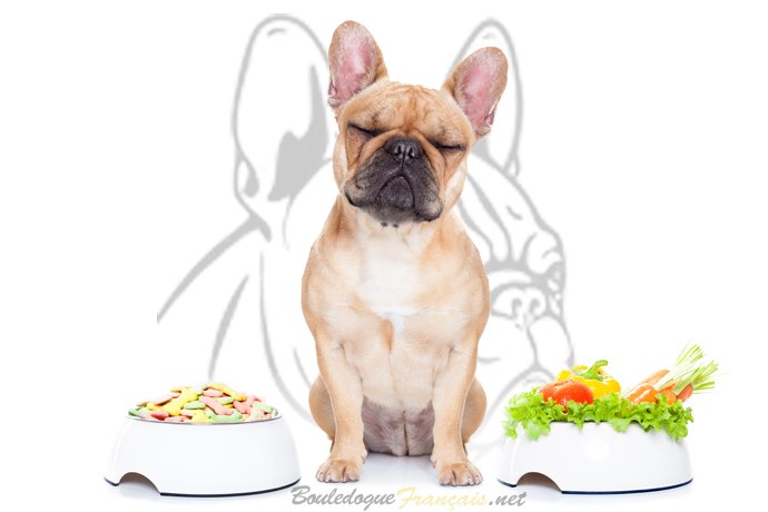 bouledogue alimentation